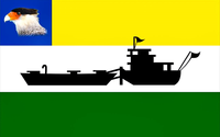 Bandeira de Caracaraí