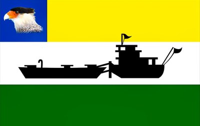 Bandeira Municipal de Caracaraí